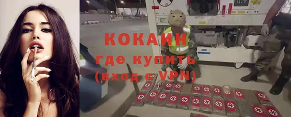 тгк Абинск