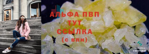 СК Абдулино