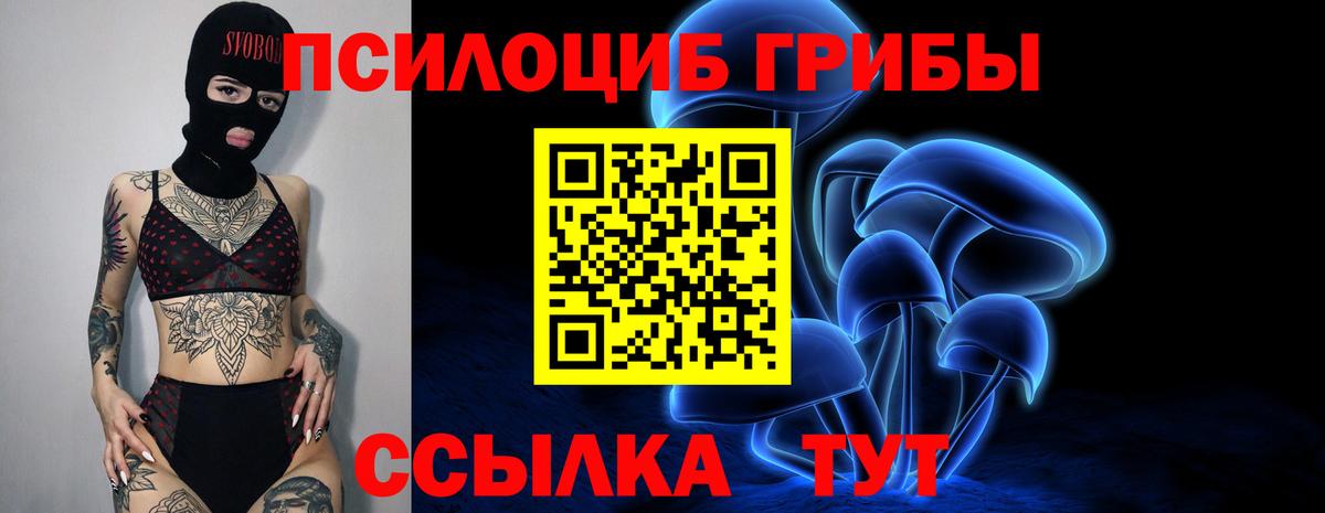 Псилоцибиновые грибы прущие грибы  Вход с VPN  дарнет шоп  Галлюциногенные грибы Psilocybe  Кинешма 