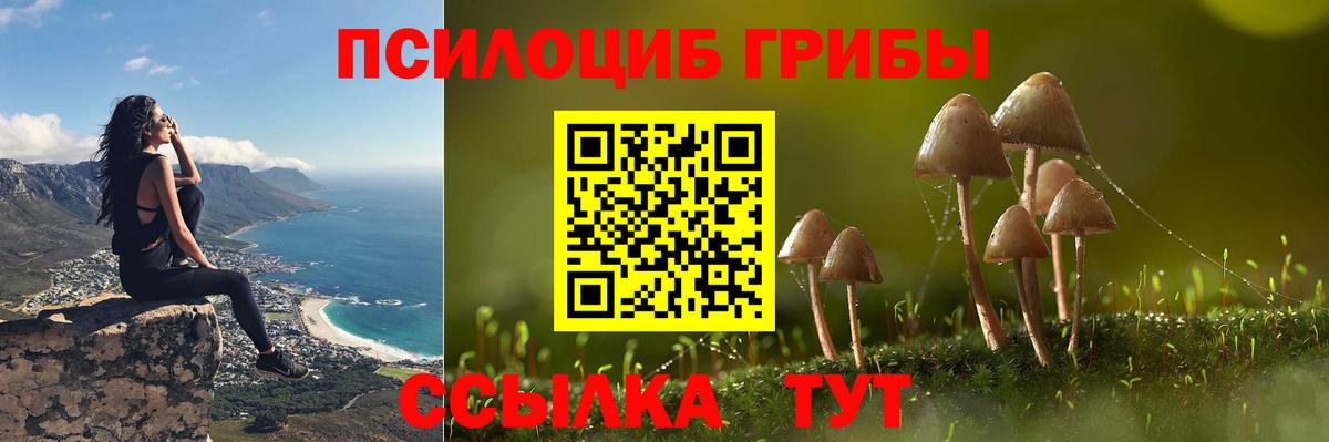 Галлюциногенные грибы мухоморы Кинешма