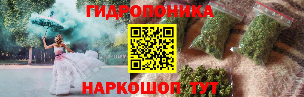 Шишки марихуана семена  Вход с VPN  Кинешма  Бошки Шишки планчик  Каннабис марихуана  Бошки марихуана Bruce Banner 